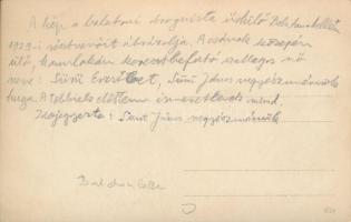 1929 Balatonlelle, Fürdőzők csoportképe, drogista üdülők. photo