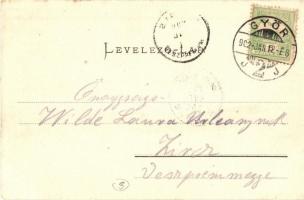 Győr, Rába-Szabályozó Társulat palotája. Grigler Béla felvétele (EK)