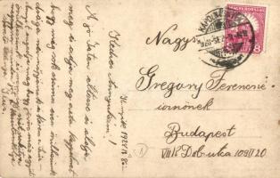 1928 Kápolnásnyék, Vörösmarty Mihály szülőháza. photo