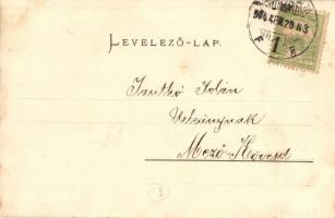 Nyíregyháza, Sóstó-fürdő, csónakázók. Piringer János kiadása