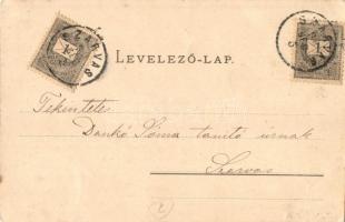 Szarvas, Gróf Bolza család kastély. A Szarvasi Jogász Ifjúság jótékonysági táncestélyének meghívója,...