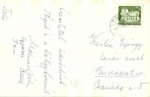 1961 Tahi (Tahitótfalu), Rönkszállítás uszályról lovaskocsira. photo