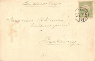 Tata-Tóváros, Michl István minta-szőlőtelepe, Vessző-vermelő telep. Engländer és Társa kiadása (EK)