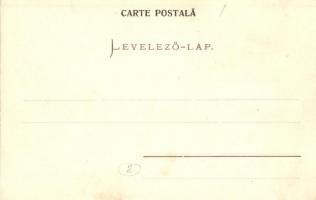 Kolozsvár, Cluj; Biasini szálloda. Schuster Emil kiadása / hotel