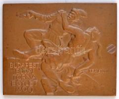 Reményi József (1887-1977) 1923. Budapesti Budai Torna Egylet 1869 Br plakett (49x61mm) T:2-