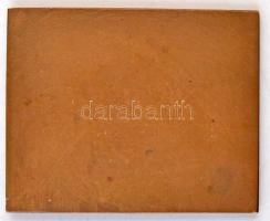 Reményi József (1887-1977) 1923. "Budapesti Budai Torna Egylet 1869" Br plakett (49x61mm) ...