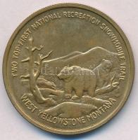 Amerikai Egyesült Államok 1980. 1$ sárgaréz Yellowstone Nemzeti Park T:2,2- USA 1980. 1 Dollar Brass Yellowstone National Park C:XF,VF