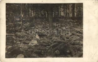 1916 Észak-Orosz front, front áttörés után az erdőben, temetetlen halott orosz katonák / WWI Austro-Hungarian K.u.K. military, dead Russian soldiers' corpses after the breakthrough in a forest in Russia. photo (EB)