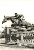 3 db modern lovas sport motívumlap / 3 modern equestrian sports motive cards