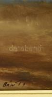 Bán Tibor (1963-): Puszta. Olaj, farost, jelzett, 50×80 cm
