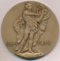 Reményi József (1887-1977) 1934. "A M. Kir. Operaház 50 éves fennállásának emlékére" Br em...