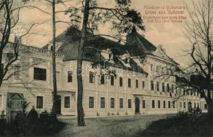 Vukovár, Vlastelinski dvor grofa Eltza / Graf Eltzsches Schloss / Eltz kastély. L. H. Freund kiadása / castle (Rb)