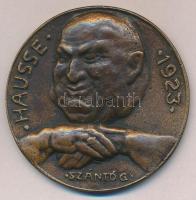Szántó Gergely (1886-1962) 1923. Hausse bronz egyoldalas gúnyérem (63mm) T:2  Hungary 1923. Hausse commemorative uniface sarcastic medallion. Sign: Gergely Szántó (63mm) C:XF