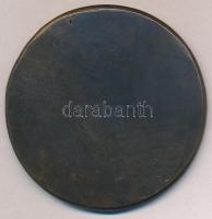 Szántó Gergely (1886-1962) 1923. "Hausse" bronz egyoldalas gúnyérem (63mm) T:2 
Hungary 1...