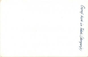 Teleki, Református templom. photo (EK)