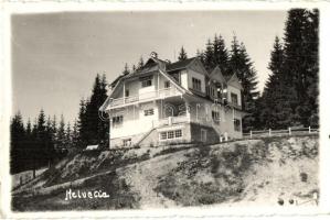 Borszék, Borsec; Villa Helvetia. Heiter György felvétele és kiadása (EK)