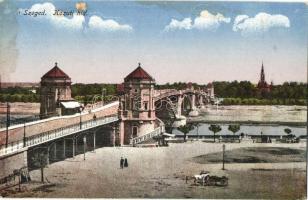 Szeged, Közúti híd (fl)