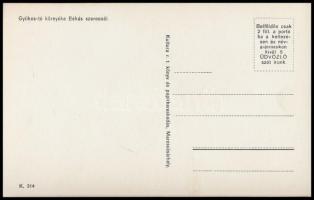 Gyilkos-tó, Lacul Rosu; Békás-szoros, automobil / gorge, automobile