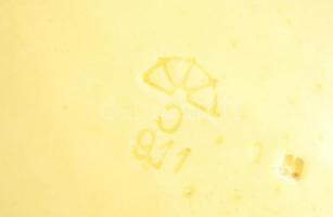 "Félikszfürdői emlék" körmöcbányai szecessziós tál, lepattanásokkal, jelzett, d: 26,5 cm