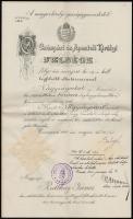 1913 Kassai táblabírói kinevezés Balogh Jenő igazságügyminiszter saját kézzel aláírásával.