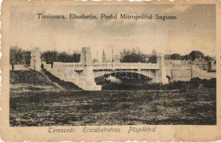 Temesvár, Timisoara; Elisabetin, Podul Mitropolitul Saguna / Erzsébetváros, Püspökhíd / bridge (fl)