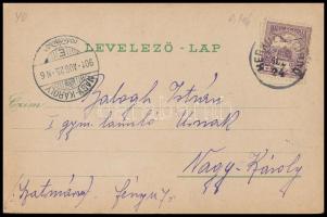 Herkulesfürdő, Baile Herculane; Bahnhof / Vasútállomás. Emil Jäger kiadása / railway station (EK)