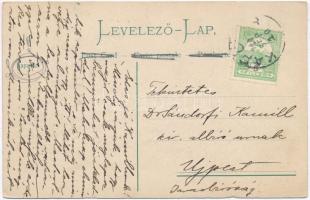 Kapuvár, szántó marhákkal és lovaskocsival