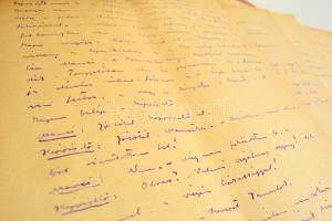 Vaszary János (1899-1963) Egy pince története című kétfelvonásos színdarabjának kézirata végig magya...