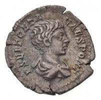 Római Birodalom / Róma / Geta 200-202. Denár Ag (3,14g) T:2 ki. Roman Empire / Rome / Geta 200-202. Denarius Ag P SEPT GETA CAES PONT / PRI-NC IVVENTVT-IS (3,14g) C:XF cracked RIC IV 18.