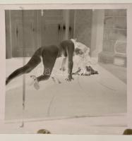 cca 1972 Erotikus és pornográf fotónegatívok, 24 felvétel 2 tekercsen, 5,5x5,5 cm