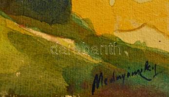 Mednyánszky jelzéssel: Ház a utca végén. Akvarell, papír, 20×37 cm