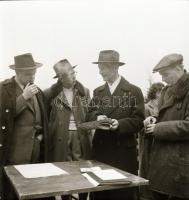 1967 Imperiál (Kisbér, 1960. február14 - Kerteskő, 1989) a 20. század egyik legjobb tenyésztésű magy...