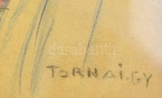 Tornai jelzéssel: Fáraó. Színes ceruza, papír, üvegezett keretben, 32×24 cm