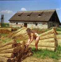 cca 1985 Vintage színes negatívok (5 db) Menesdorfer Lajos (1941-2005) budapesti fotóművész hagyaték...