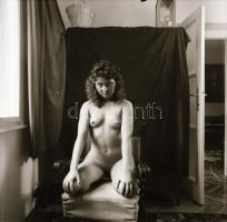 cca 1982 Vintage negatívok (5 db) Menesdorfer Lajos (1941-2005) budapesti fotóművész hagyatékából, 6...