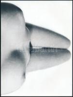 cca 1977 Privát történetek, 4 db jelzés nélküli vintage fotó Menesdorfer Lajos (1941-2005) budapesti...