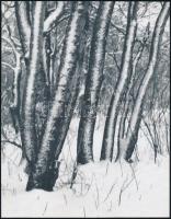 cca 1974 Gebhardt György (1910-1993) budapesti fotóművész hagyatékából 3 db vintage fénykép, az egyi...