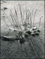 cca 1974 Gebhardt György (1910-1993) budapesti fotóművész hagyatékából 3 db vintage fénykép, az egyi...