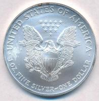 Amerikai Egyesült Államok 2003. 1$ Ag (31,1g/0.999) T:BU
USA 2003. 1 Dollar Ag (31,1g/0.999) C:BU