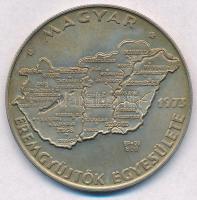 Csúcs Viktória (1934-) 1973. "MÉE Budapest - Magyarország" Ag tagsági emlékérem (25,49g/0.800/42,5mm) T:2 Adamo BP5