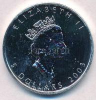 Kanada 2003. 5$ Ag "II. Erzsébet" T:1- Canada 2003. 5 Dollars Ag "Elisabeth II" C:AU