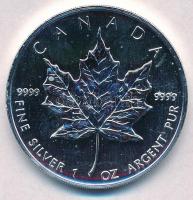 Kanada 2003. 5$ Ag "II. Erzsébet" T:1-
Canada 2003. 5 Dollars Ag "Elisabeth II"...