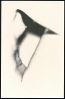 cca 1978 Bándi András (?-?) budapesti fotóművész hagyatékából 3 db feliratozott, vintage fotóművésze...