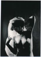 cca 1975 Tóth Erzsi 3 db vintage fotóművészeti alkotása, 21,5x18 cm és 24x12 cm között