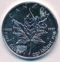 Kanada 2004. 5$ Ag "II. Erzsébet" T:1- patina
Canada 2004. 5 Dollars Ag "Elisabeth I...