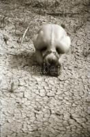 cca 1975 Kint is, bent is, szolidan erotikus felvételek, 38 db vintage negatív, 24x36 mm