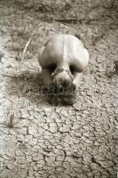 cca 1975 Kint is, bent is, szolidan erotikus felvételek, 38 db vintage negatív, 24x36 mm