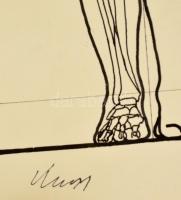 Kass jelzéssel: Tanulmány rajz. Tus, papír, felcsavarva, 44×44 cm