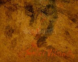 Somlai Vilma (1938-2007): Napos táj, olaj, farost, jelzett, keretben, 19×23 cm