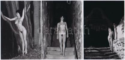 cca 1979 Négy vintage negatív és az ezekről készült négy pozitív kép (mai nagyítások), szolidan erotikus felvételek, 24x36 mm és 12,5x9 cm